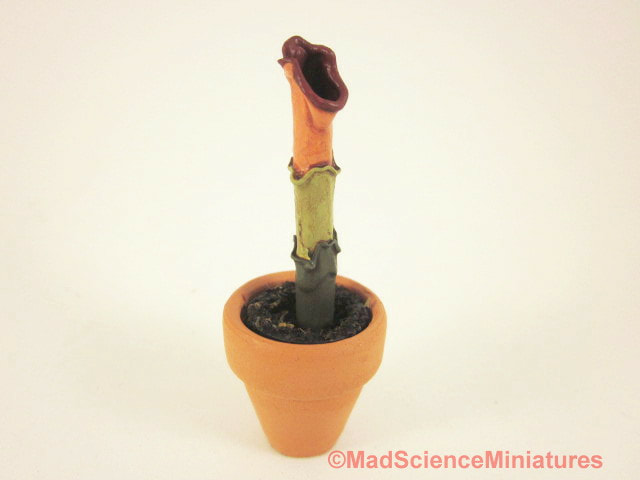Miniature baby Triffid flesh eating alien plant in ceramic pot D149 for a dollhouse garden in 1:12 scale - MadScienceMiniatures.com